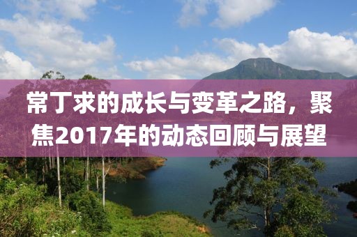 常丁求的成長(zhǎng)與變革之路，聚焦2017年的動(dòng)態(tài)回顧與展望