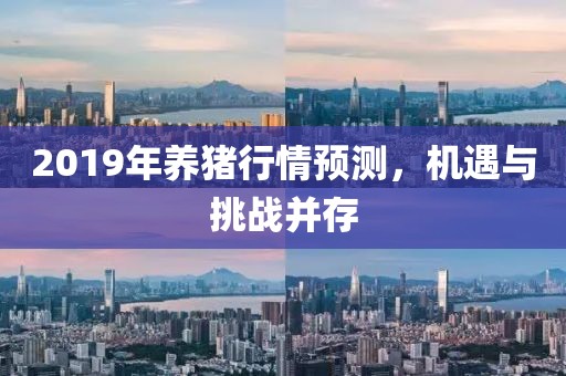 2019年養(yǎng)豬行情預(yù)測(cè)，機(jī)遇與挑戰(zhàn)并存