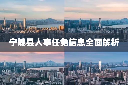 寧城縣人事任免信息全面解析