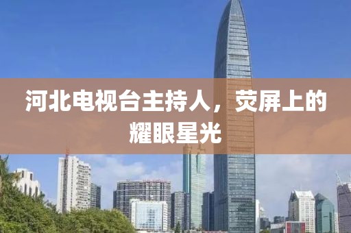 河北電視臺主持人，熒屏上的耀眼星光