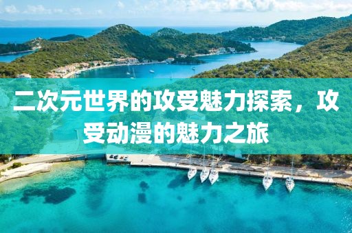 二次元世界的攻受魅力探索，攻受動漫的魅力之旅