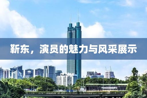 靳東，演員的魅力與風(fēng)采展示