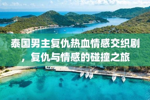泰國(guó)男主復(fù)仇熱血情感交織劇，復(fù)仇與情感的碰撞之旅