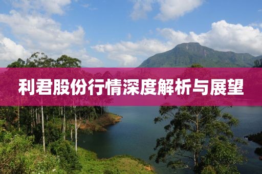 利君股份行情深度解析與展望