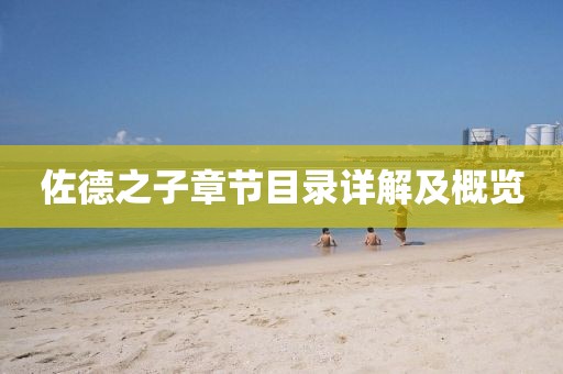 佐德之子章節(jié)目錄詳解及概覽