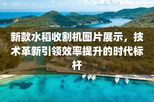 新款水稻收割機(jī)圖片展示，技術(shù)革新引領(lǐng)效率提升的時(shí)代標(biāo)桿