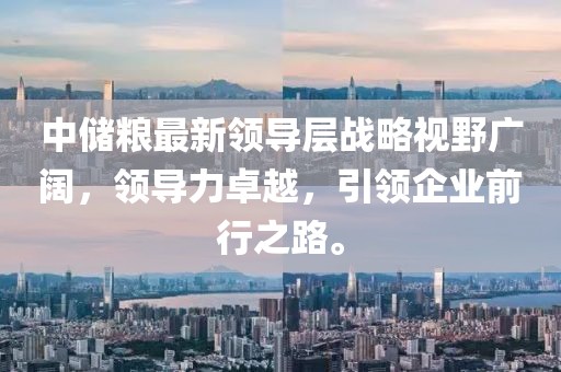 中儲糧最新領(lǐng)導(dǎo)層戰(zhàn)略視野廣闊，領(lǐng)導(dǎo)力卓越，引領(lǐng)企業(yè)前行之路。