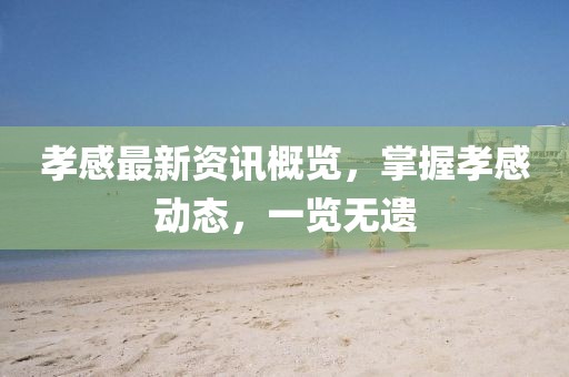 孝感最新資訊概覽，掌握孝感動態(tài)，一覽無遺