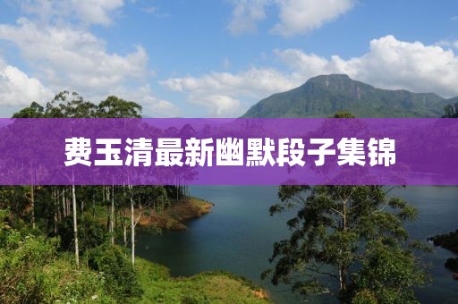 費(fèi)玉清最新幽默段子集錦