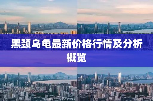 黑頸烏龜最新價格行情及分析概覽