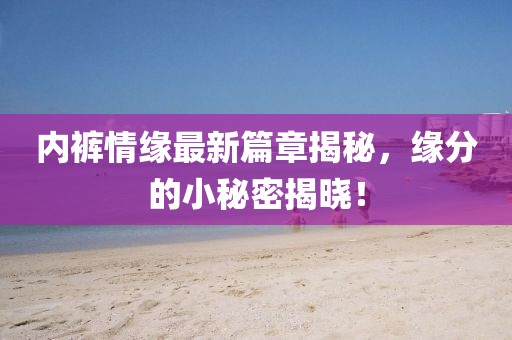 內(nèi)褲情緣最新篇章揭秘，緣分的小秘密揭曉！