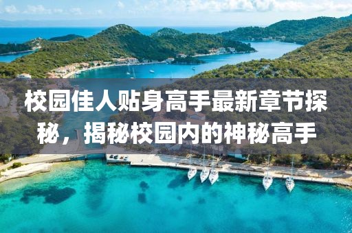 校園佳人貼身高手最新章節(jié)探秘，揭秘校園內(nèi)的神秘高手