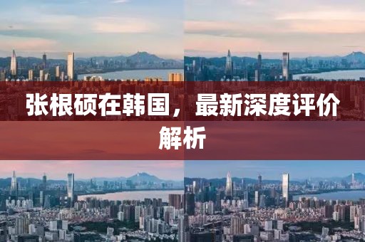 張根碩在韓國，最新深度評價解析