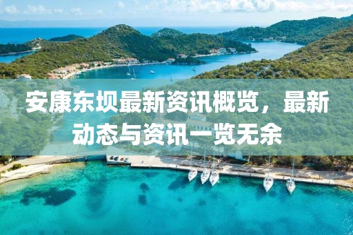 安康東壩最新資訊概覽，最新動態(tài)與資訊一覽無余