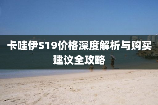 卡哇伊S19價格深度解析與購買建議全攻略
