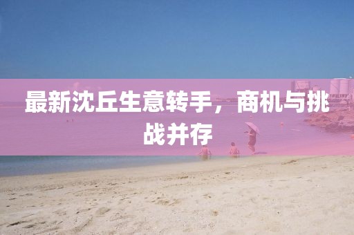 最新沈丘生意轉(zhuǎn)手，商機(jī)與挑戰(zhàn)并存