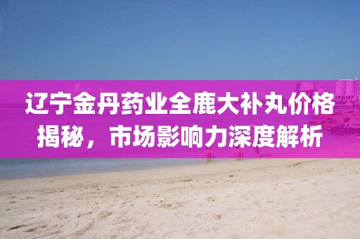 夢想無需 第13頁