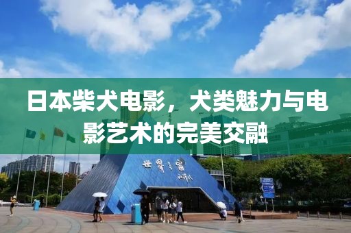 日本柴犬電影，犬類魅力與電影藝術(shù)的完美交融