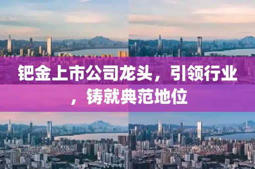 鈀金上市公司龍頭，引領(lǐng)行業(yè)，鑄就典范地位