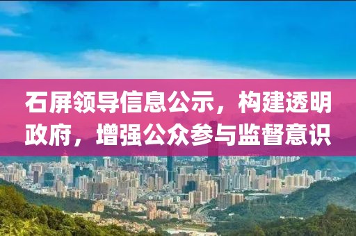 石屏領(lǐng)導(dǎo)信息公示，構(gòu)建透明政府，增強公眾參與監(jiān)督意識