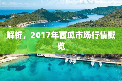 解析，2017年西瓜市場(chǎng)行情概覽