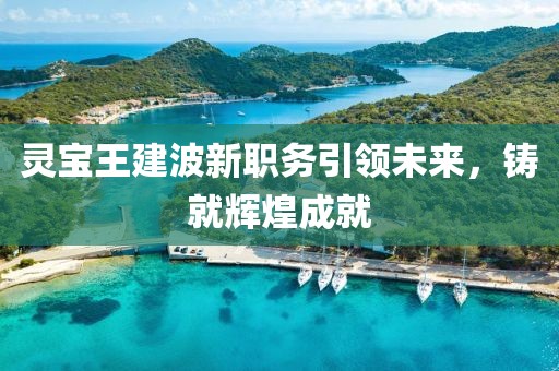 靈寶王建波新職務引領未來，鑄就輝煌成就