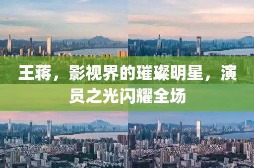 王蔣，影視界的璀璨明星，演員之光閃耀全場(chǎng)