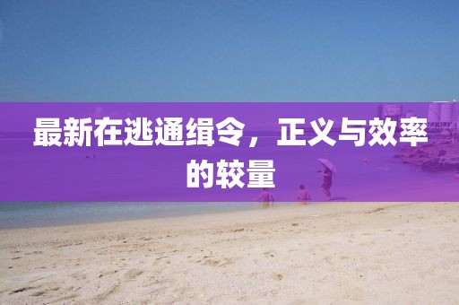 最新在逃通緝令，正義與效率的較量