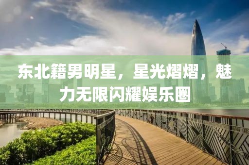 東北籍男明星，星光熠熠，魅力無限閃耀娛樂圈