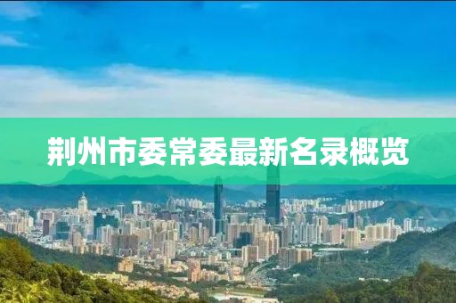 荊州市委常委最新名錄概覽