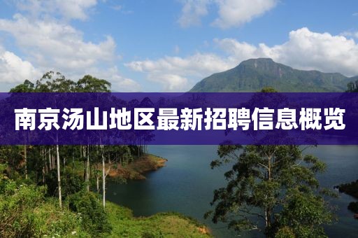 南京湯山地區(qū)最新招聘信息概覽