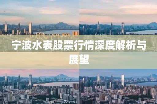 寧波水表股票行情深度解析與展望