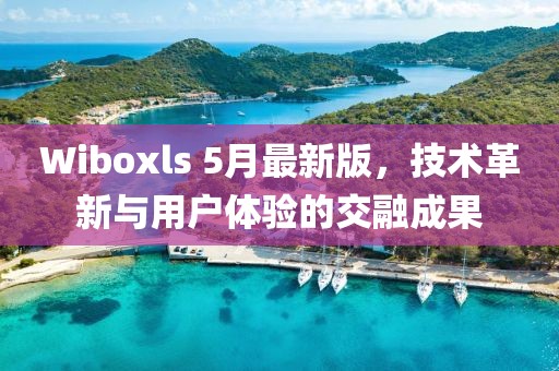 Wiboxls 5月最新版，技術(shù)革新與用戶體驗(yàn)的交融成果