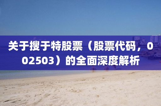 關(guān)于搜于特股票（股票代碼，002503）的全面深度解析