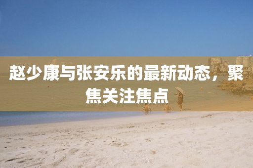 趙少康與張安樂(lè)的最新動(dòng)態(tài)，聚焦關(guān)注焦點(diǎn)