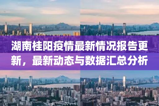 湖南桂陽疫情最新情況報告更新，最新動態(tài)與數(shù)據(jù)匯總分析