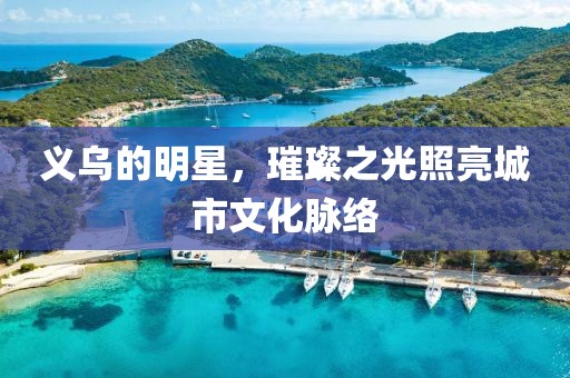 義烏的明星，璀璨之光照亮城市文化脈絡(luò)