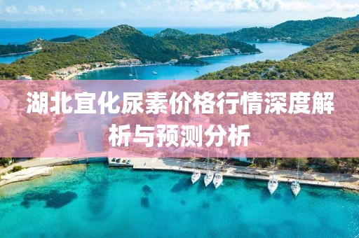 湖北宜化尿素價格行情深度解析與預(yù)測分析