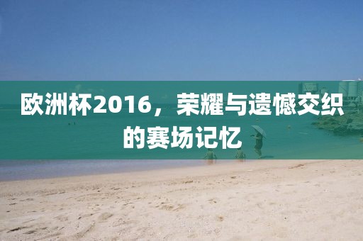 歐洲杯2016，榮耀與遺憾交織的賽場(chǎng)記憶