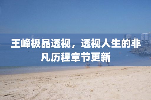 王峰極品透視，透視人生的非凡歷程章節(jié)更新