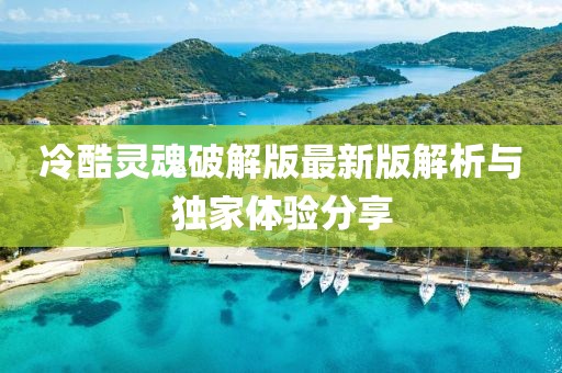 冷酷靈魂破解版最新版解析與獨家體驗分享
