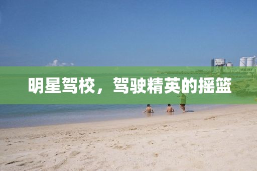 明星駕校，駕駛精英的搖籃