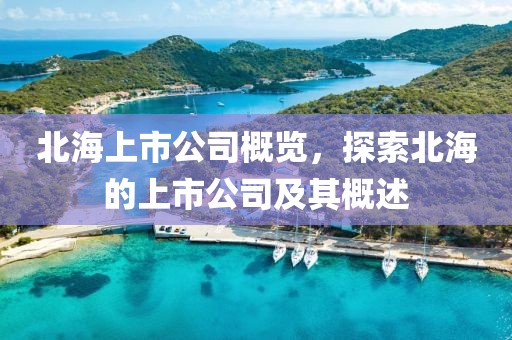 北海上市公司概覽，探索北海的上市公司及其概述