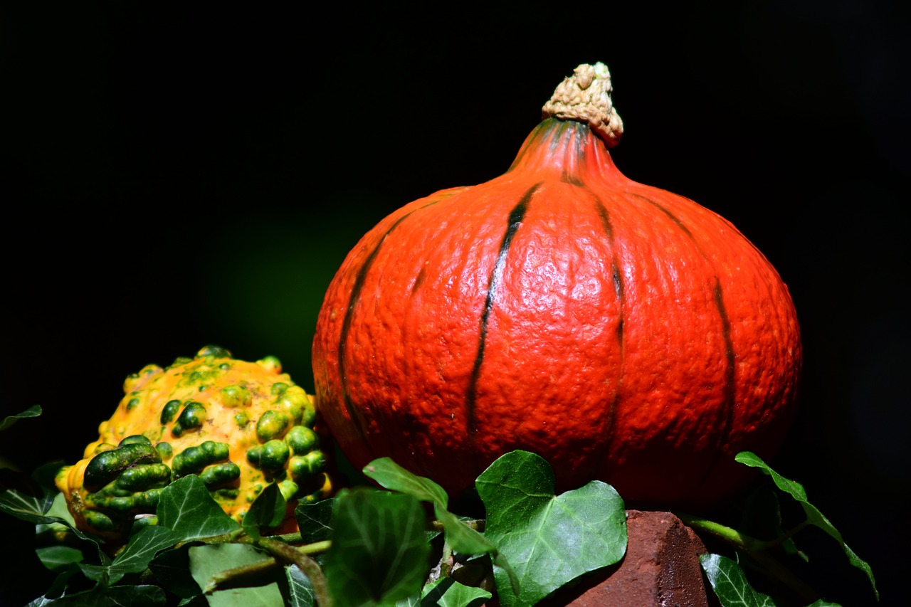 杏果飄香季，探尋杏幾月上市的季節(jié)