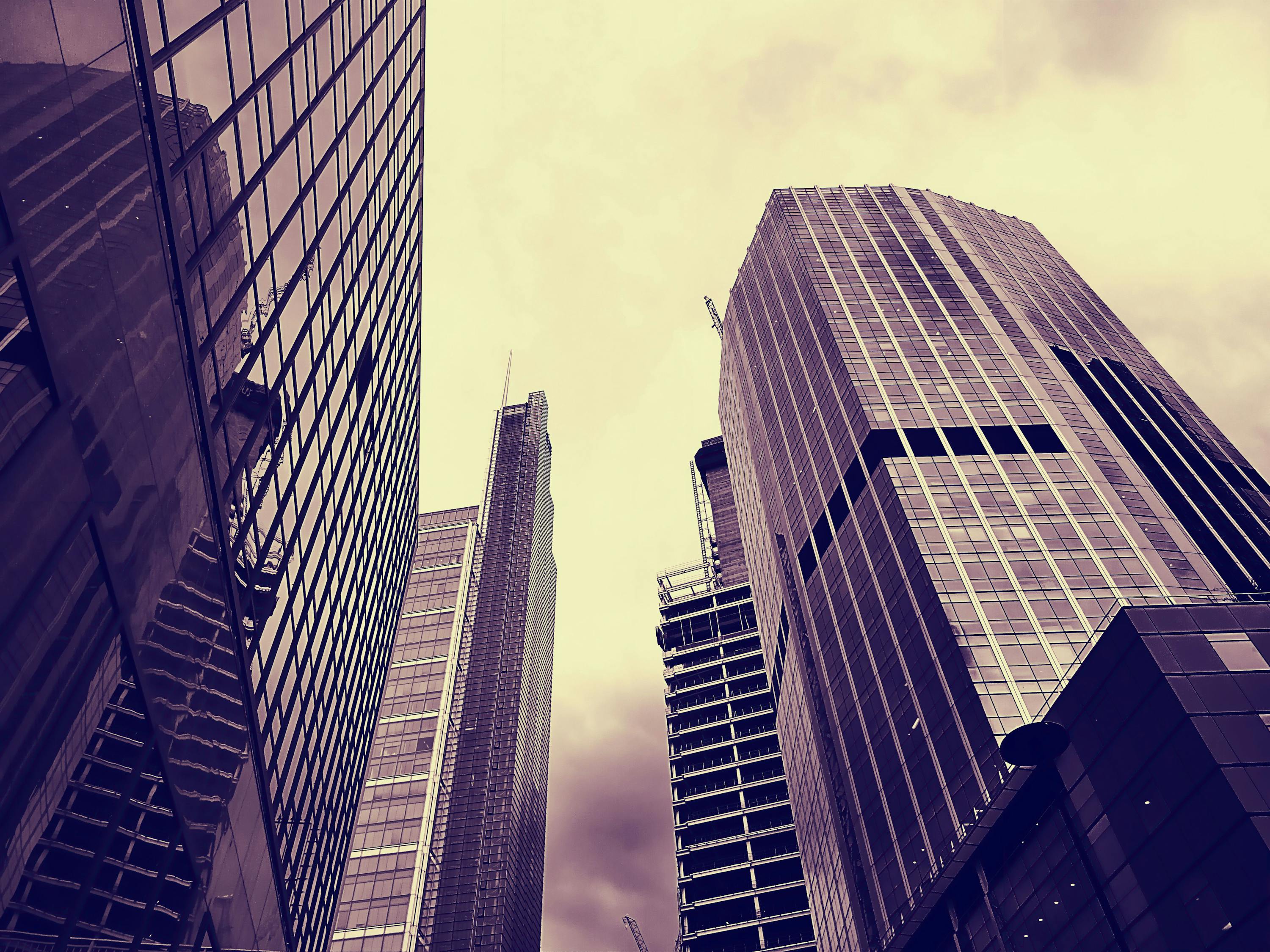 文景觀園最新資訊深度解讀與前瞻展望，未來趨勢展望報告