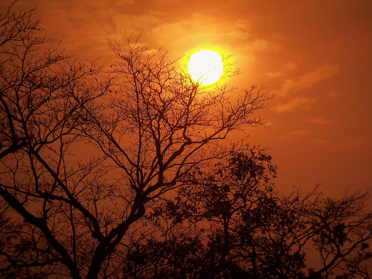 海蘭信引領(lǐng)科技創(chuàng)新，助力數(shù)字經(jīng)濟(jì)發(fā)展，最新動(dòng)態(tài)一覽