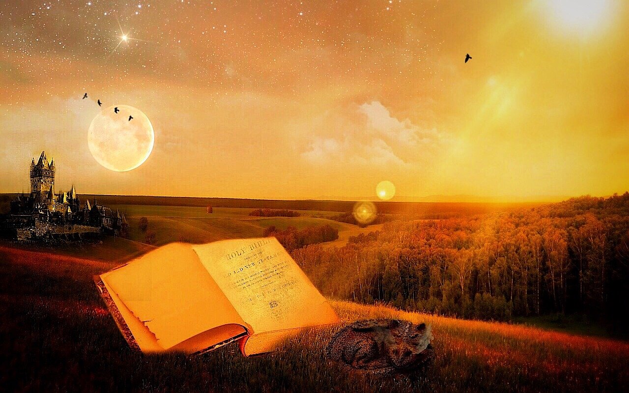 探尋修煉奧秘，道君最新章節(jié)揭秘