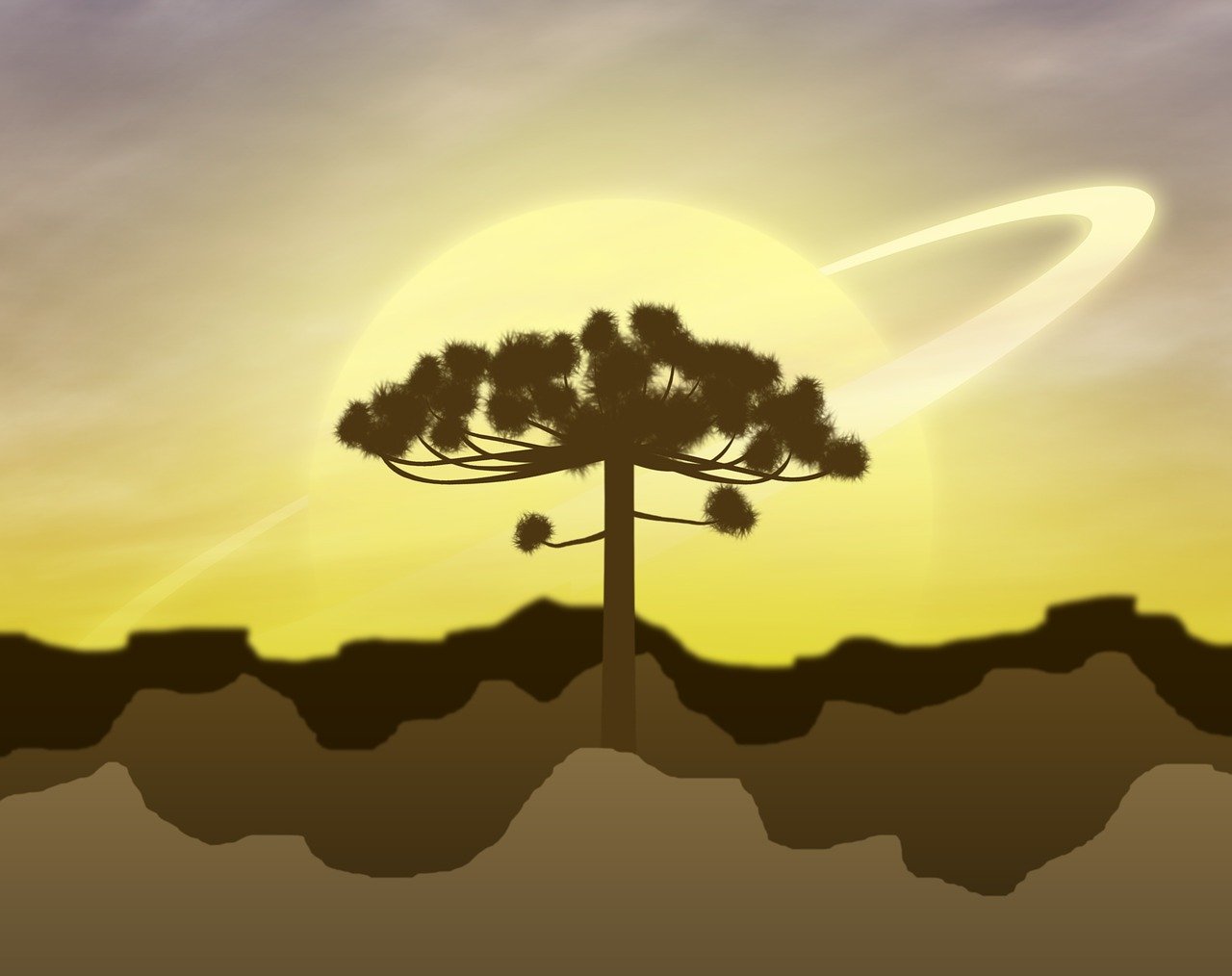 白熊動(dòng)漫，奇幻之旅，探索魅力世界的無限魅力