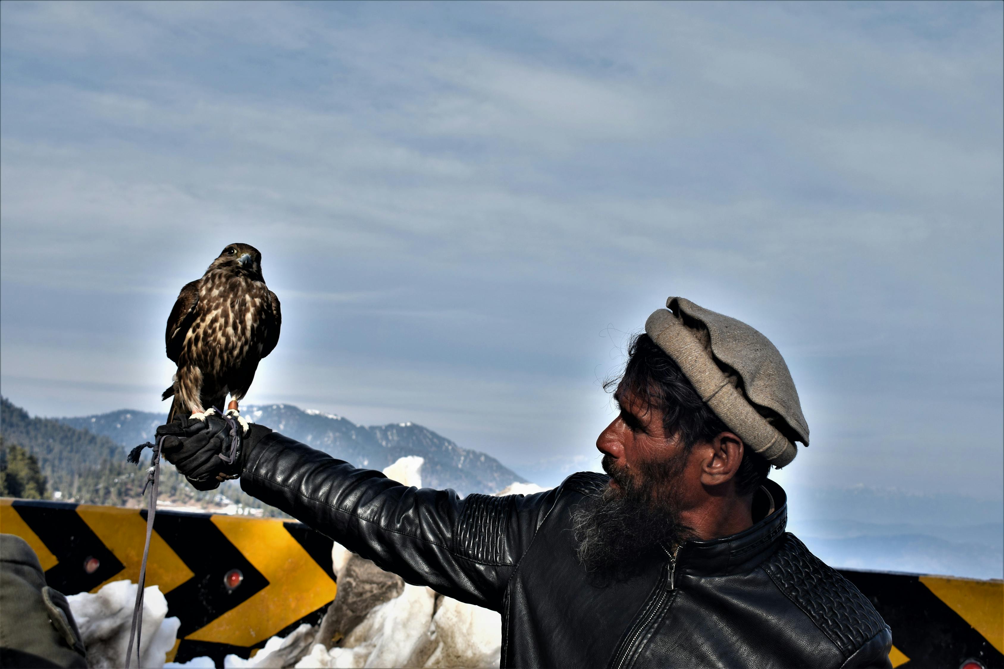 探索未來之迷與人類生存挑戰(zhàn)，最新末日預(yù)言者的警示