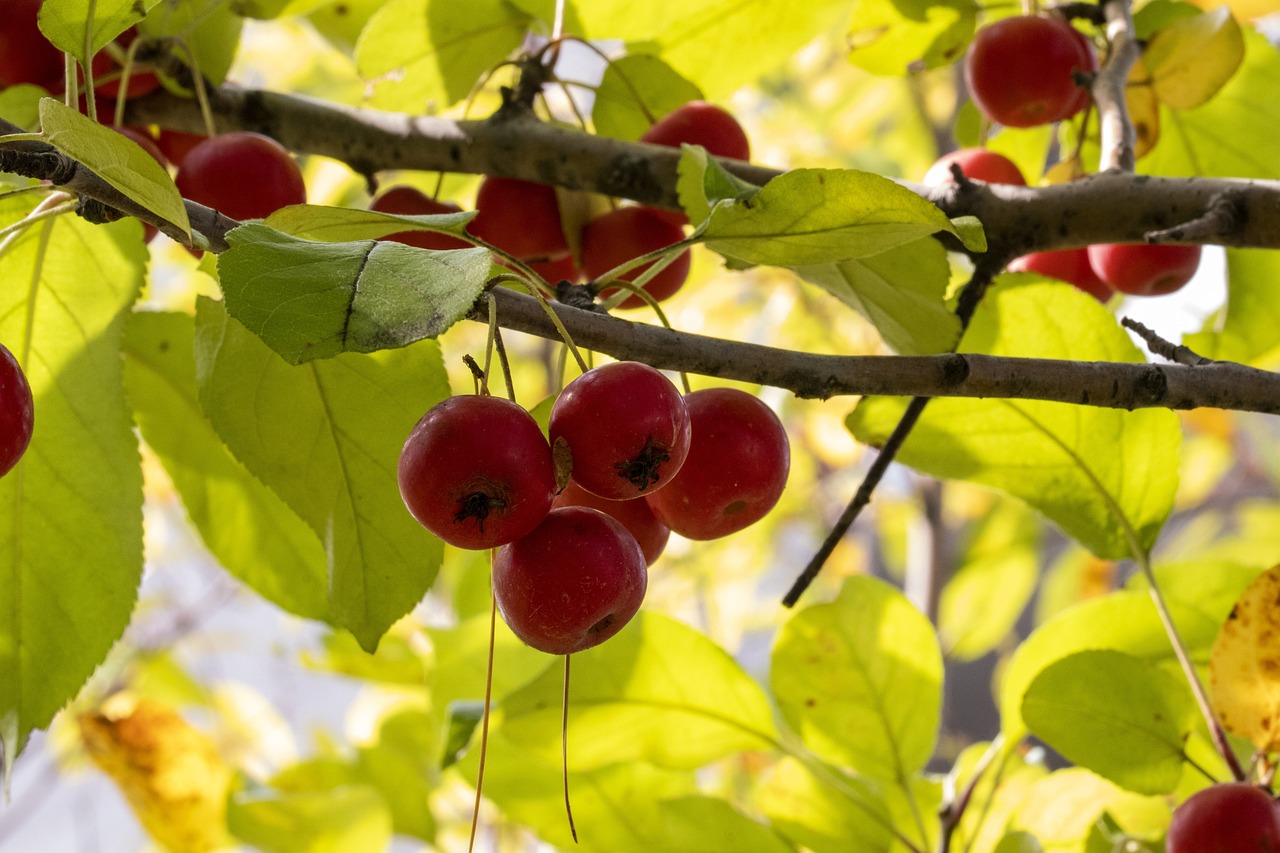 新華聯(lián)邁向新征程，展現(xiàn)新作為，最新動態(tài)與作為